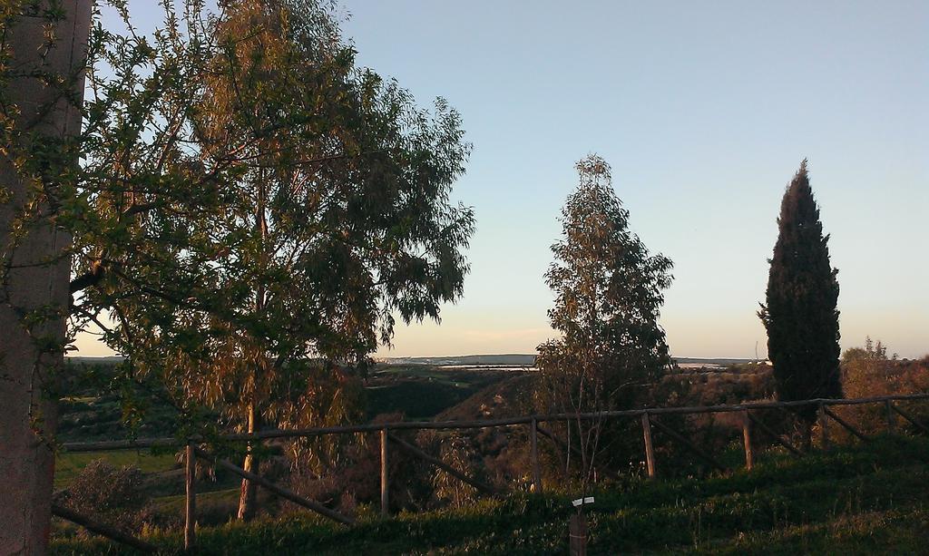 Masseria Strada Agriturismo 吉诺萨 外观 照片
