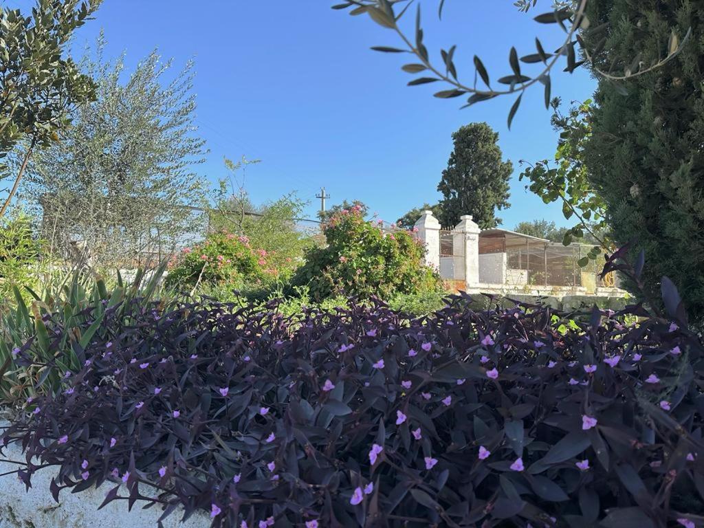 Masseria Strada Agriturismo 吉诺萨 外观 照片