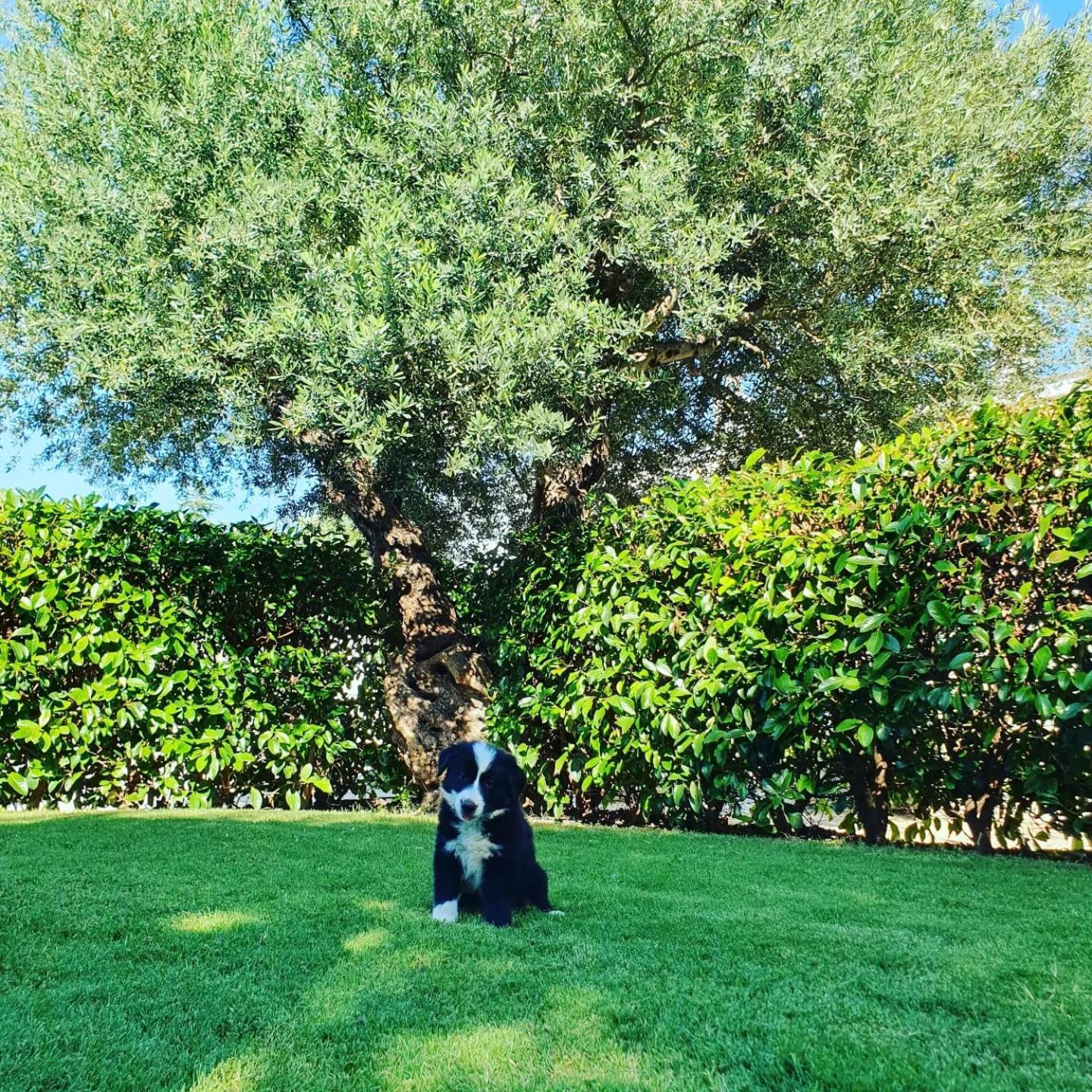 Masseria Strada Agriturismo 吉诺萨 外观 照片
