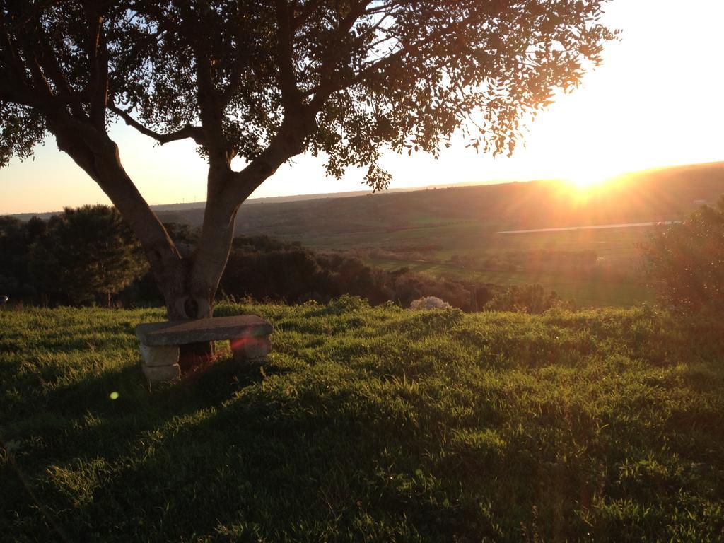 Masseria Strada Agriturismo 吉诺萨 外观 照片